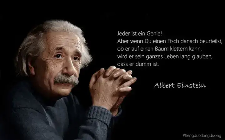 những câu nói hay tiếng đức
