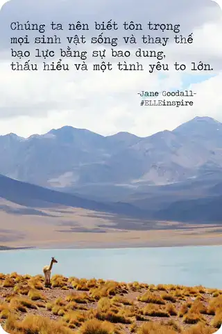 những câu nói hay về bảo vệ động vật