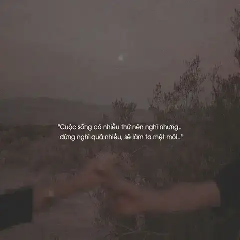 những câu nói hay về bóng tối