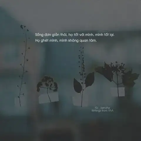 những câu nói hay về cách nhìn cuộc sống những câu nói hay về cách nhìn cuộc sống