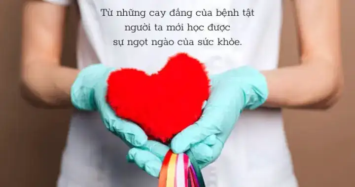 những câu nói hay về chúc tết