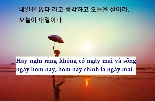 những câu nói hay về cuộc sống bằng tiếng hàn