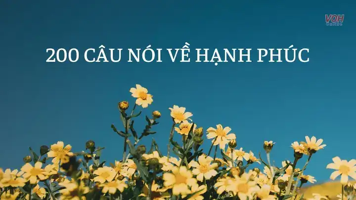 những câu nói hay về hạnh phúc giản đơn