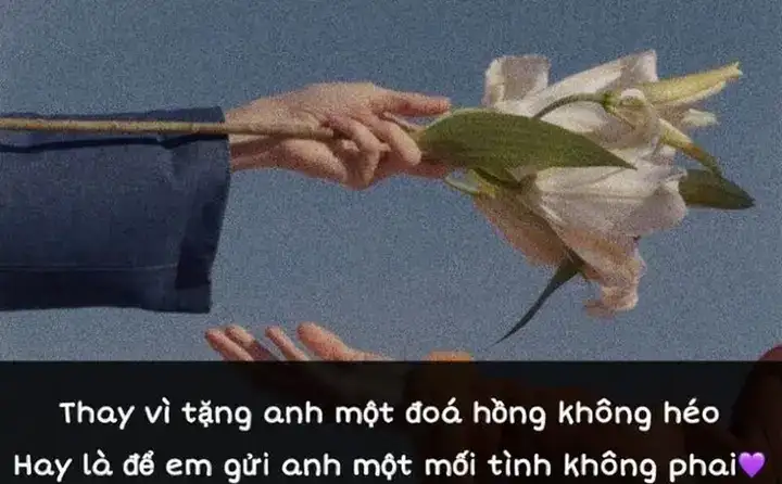 câu nói hay về hoa hải đường