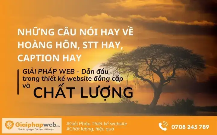 những câu nói hay về hòn đá