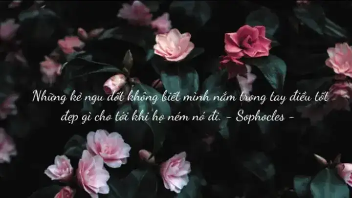 những câu nói hay về lãnh đạo