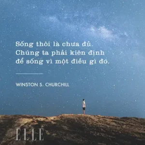 những câu nói hay về lập trường