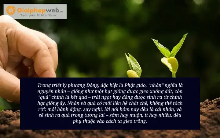 những câu nói hay về luật nhân quả