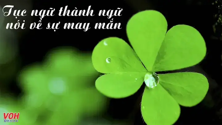 câu nói hay về may mắn câu nói hay về may mắn