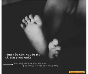 những câu nói hay về mẹ ngày 8 3