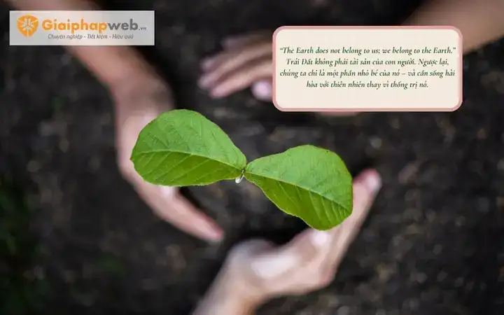 những câu nói hay về môi trường bằng tiếng anh