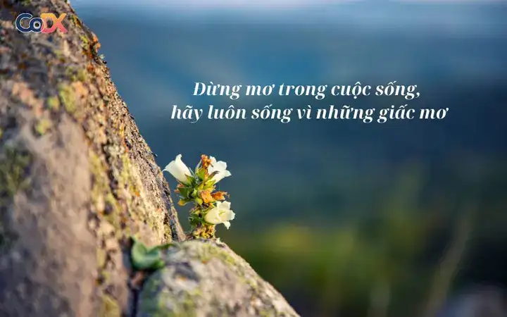 câu nói hay về năng lượng tích cực