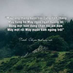 câu nói hay về núi rừng