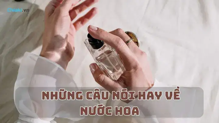 những câu nói hay về nước uống