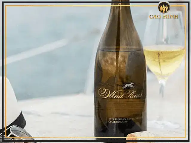 những câu nói hay về rượu vang bằng tiếng anh