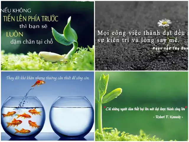 những câu nói hay về sự điềm đạm