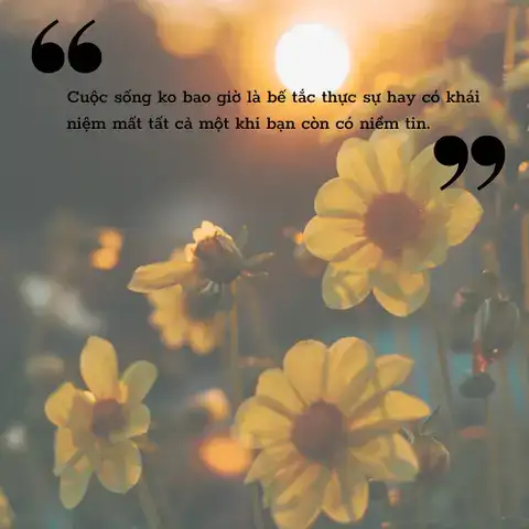 những câu nói hay về sự hơn thua