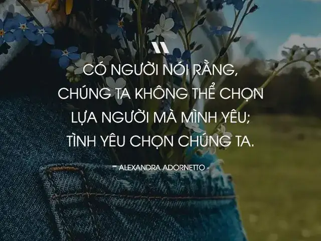 câu nói hay về sự lựa chọn trong tình yêu