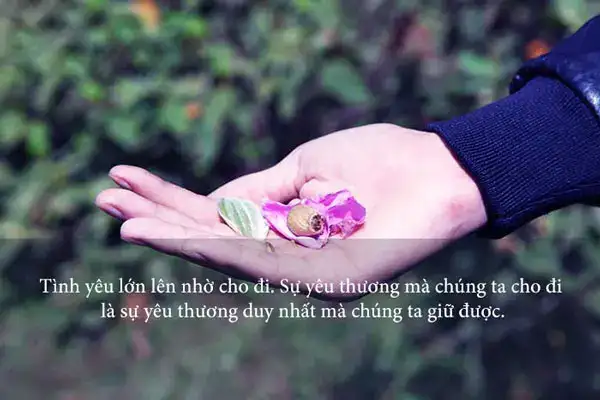 những câu nói hay về sự tình cờ