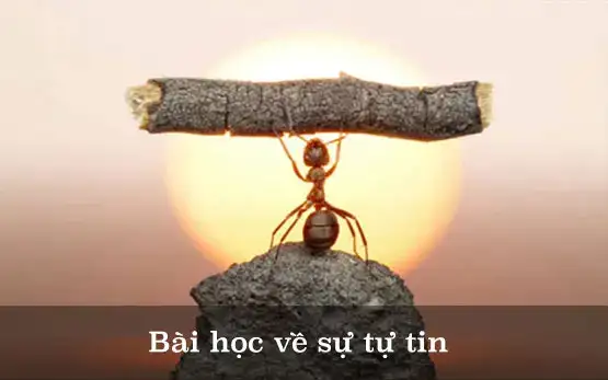 những câu nói hay về sự tự tin thái quá những câu nói hay về sự tự tin thái quá