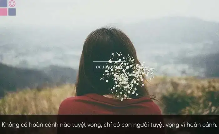 những câu nói hay về sự tuyệt vọng