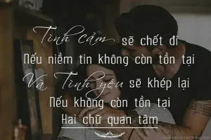 câu nói hay về sự vô tâm của chồng