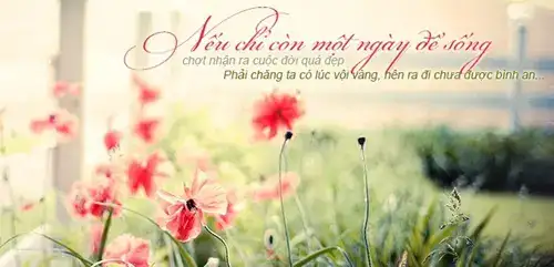 những câu nói hay về sức sống mãnh liệt