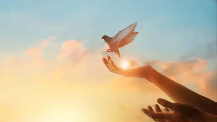 những câu nói hay về tâm đức