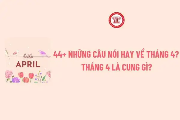 những câu nói hay về tháng 1 những câu nói hay về tháng 1