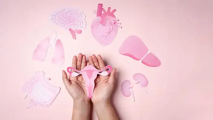 những câu nói hay về thú cưng