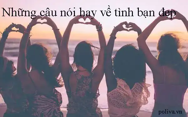 những câu nói hay về tình bạn dối trá