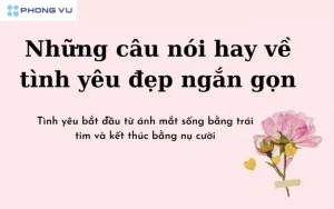 những câu nói hay về tình bạn thời sinh viên