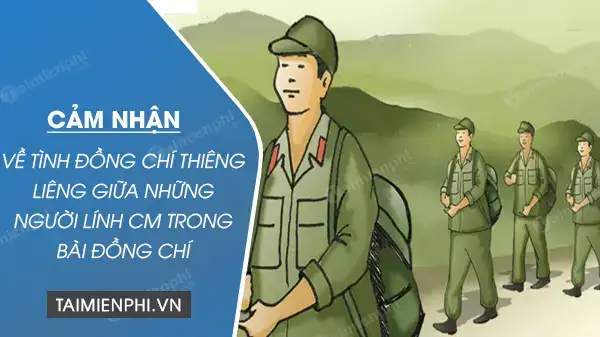 những câu nói hay về tình đồng chí