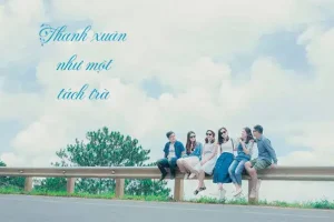 những câu nói hay về trà chanh