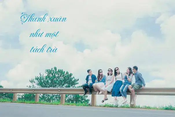 những câu nói hay về trà chanh