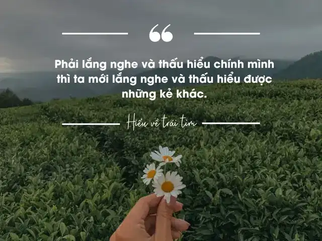 câu nói hay về trái tim câu nói hay về trái tim