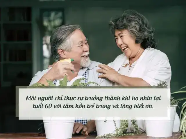 những câu nói hay về tuổi hợi