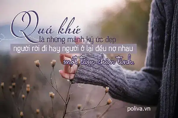 những câu nói hay về xích đu