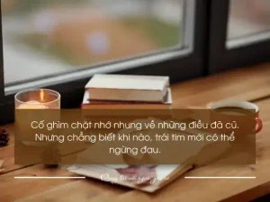 những câu nói khi muốn quay lại