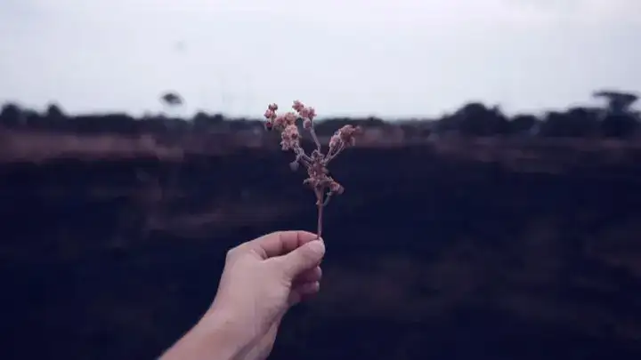 những câu nói khiến người yêu cũ quay lại