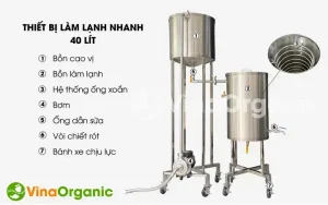 những câu nói làm lành với bạn trai