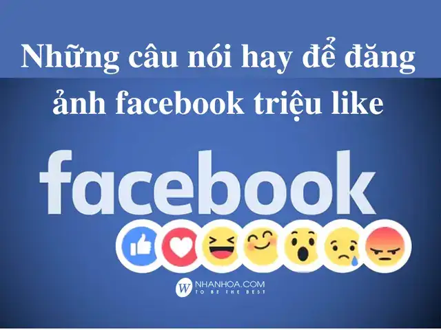 những câu nói nhiều like trên facebook