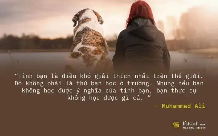 những câu nói sốc về tình bạn những câu nói sốc về tình bạn