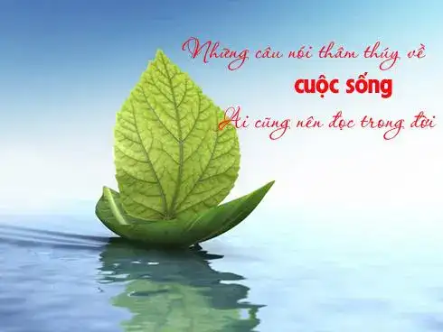 những câu nói thâm thuý về phụ nữ