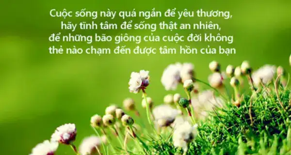 những câu nói về huế