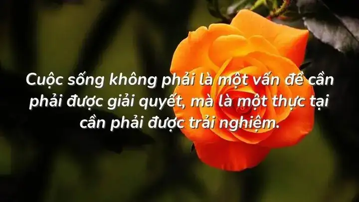 những câu nói về kinh nghiệm sống