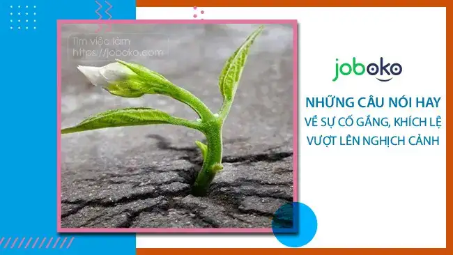 những câu nói về nghịch cảnh