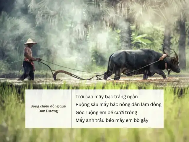 những câu nói về người nông dân