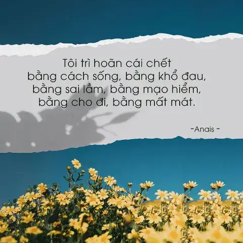 câu nói về trải nghiệm