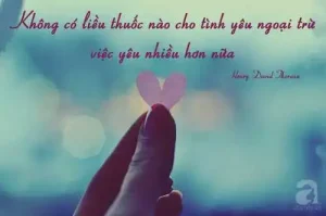 những câu nói cute về tình yêu